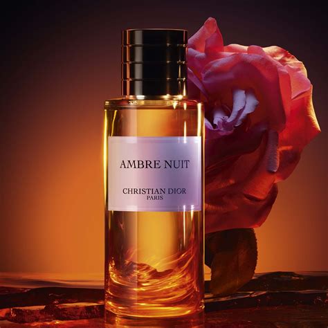 dior ambre nuit 250ml price|perfume Dior unisex.